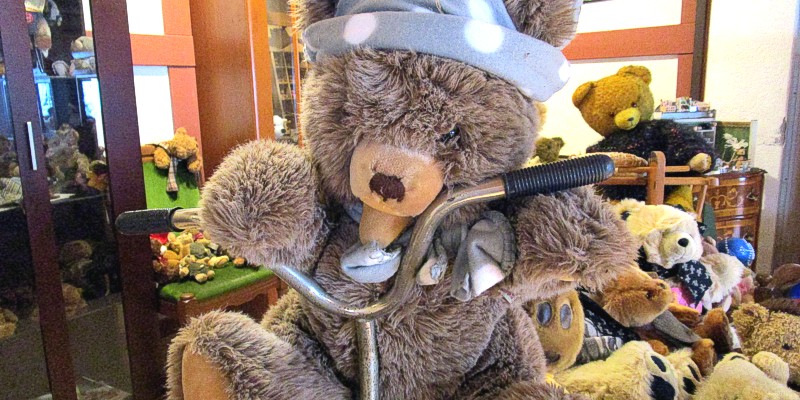 Aktuelles aus dem Teddymuseum Steinheim