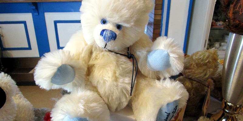 Teddy und Puppenklinik